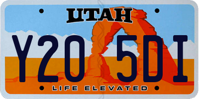 UT license plate Y205DI