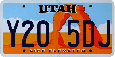 UT license plate Y205DJ