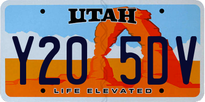 UT license plate Y205DV