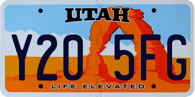 UT license plate Y205FG