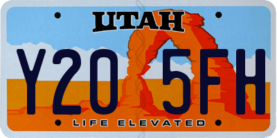 UT license plate Y205FH