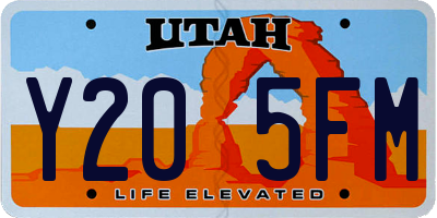 UT license plate Y205FM