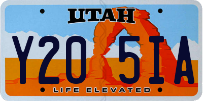 UT license plate Y205IA