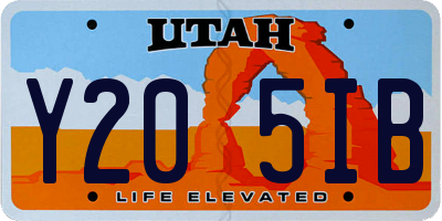 UT license plate Y205IB