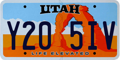 UT license plate Y205IV