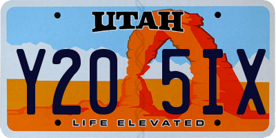 UT license plate Y205IX