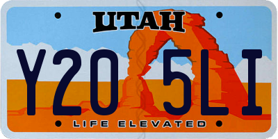UT license plate Y205LI
