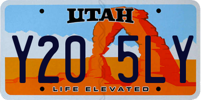 UT license plate Y205LY