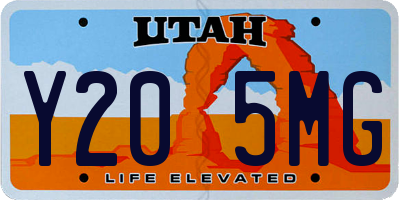 UT license plate Y205MG