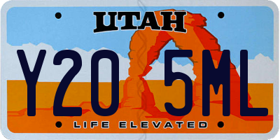 UT license plate Y205ML