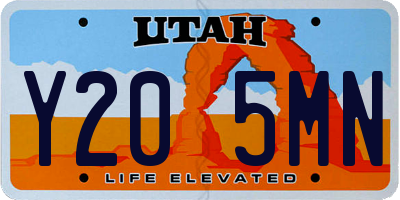 UT license plate Y205MN