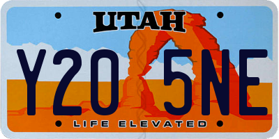 UT license plate Y205NE