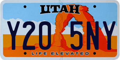 UT license plate Y205NY