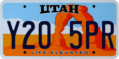 UT license plate Y205PR