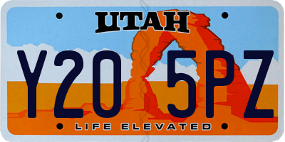 UT license plate Y205PZ