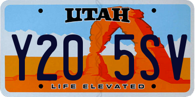 UT license plate Y205SV