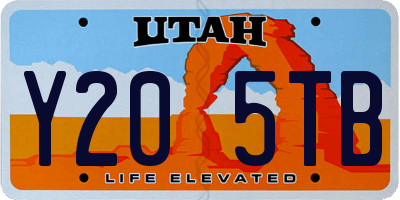 UT license plate Y205TB