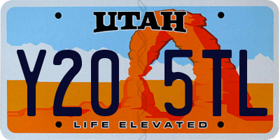 UT license plate Y205TL