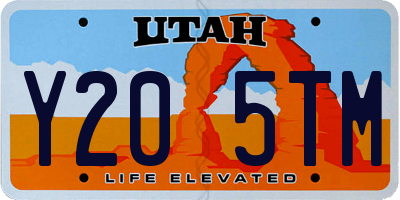 UT license plate Y205TM