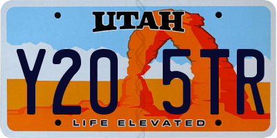 UT license plate Y205TR