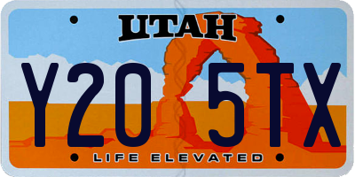 UT license plate Y205TX