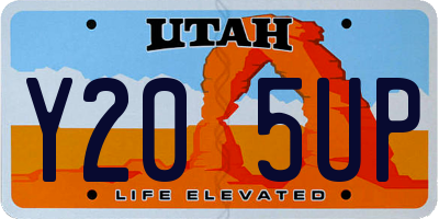 UT license plate Y205UP