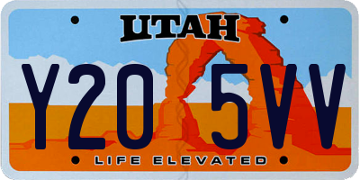 UT license plate Y205VV