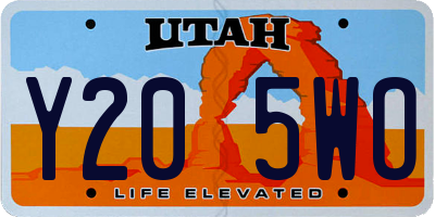 UT license plate Y205WO