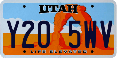 UT license plate Y205WV