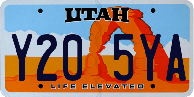 UT license plate Y205YA