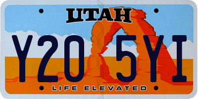 UT license plate Y205YI