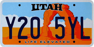 UT license plate Y205YL