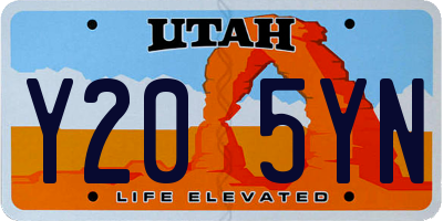 UT license plate Y205YN