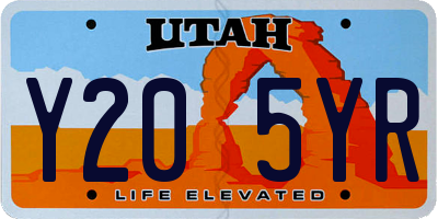UT license plate Y205YR