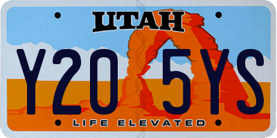 UT license plate Y205YS