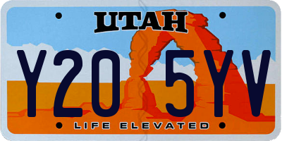 UT license plate Y205YV