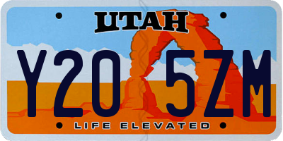 UT license plate Y205ZM