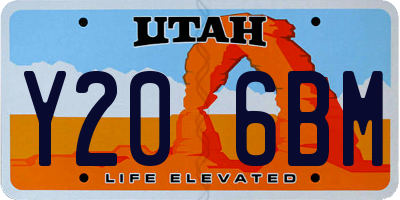 UT license plate Y206BM