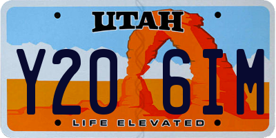 UT license plate Y206IM