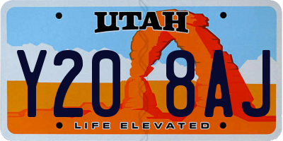UT license plate Y208AJ