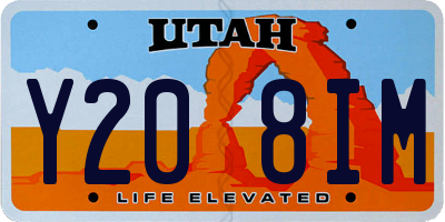 UT license plate Y208IM
