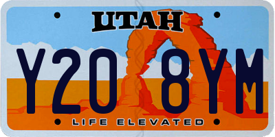 UT license plate Y208YM
