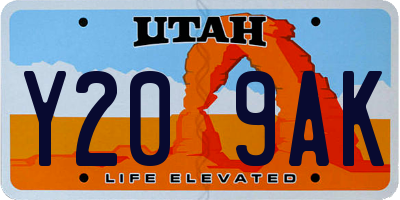 UT license plate Y209AK