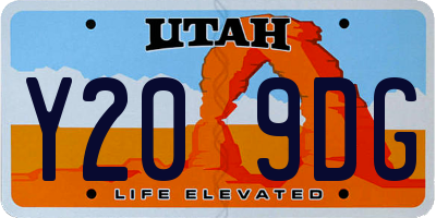 UT license plate Y209DG