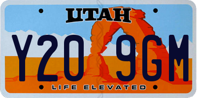 UT license plate Y209GM