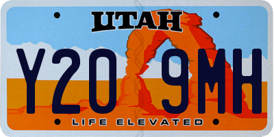 UT license plate Y209MH