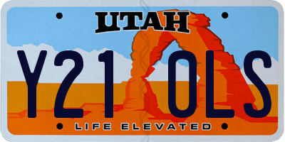 UT license plate Y210LS