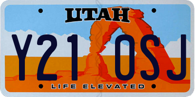 UT license plate Y210SJ