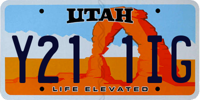 UT license plate Y211IG