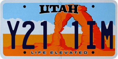UT license plate Y211IM